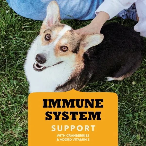 ACANA Chewy Strips Dog Treats - Immune System Support Chicken Recipe
