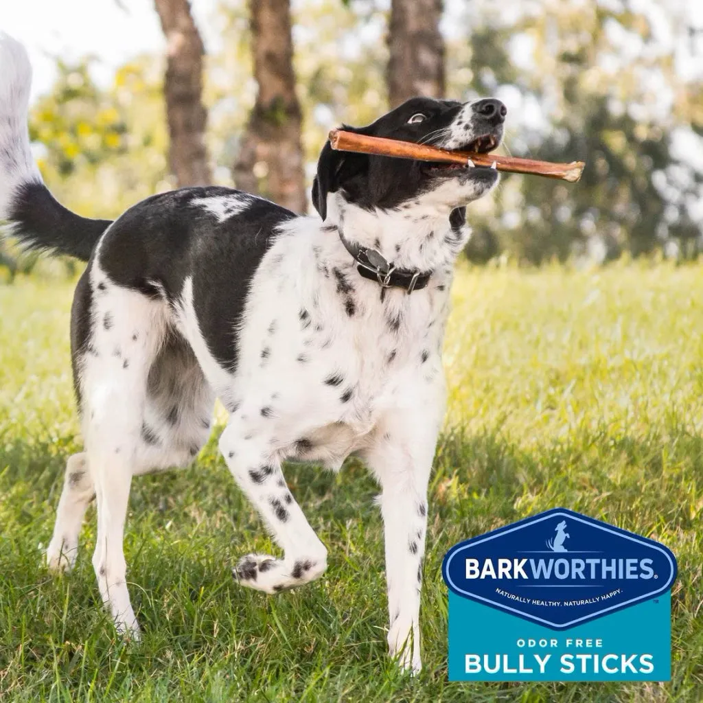 Barkworthies Odor-Free American Bully Sticks Treats For Dogs  12", 1ct