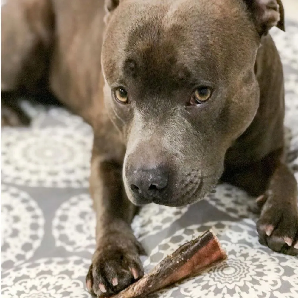 Beef Bully Sticks (Thick)