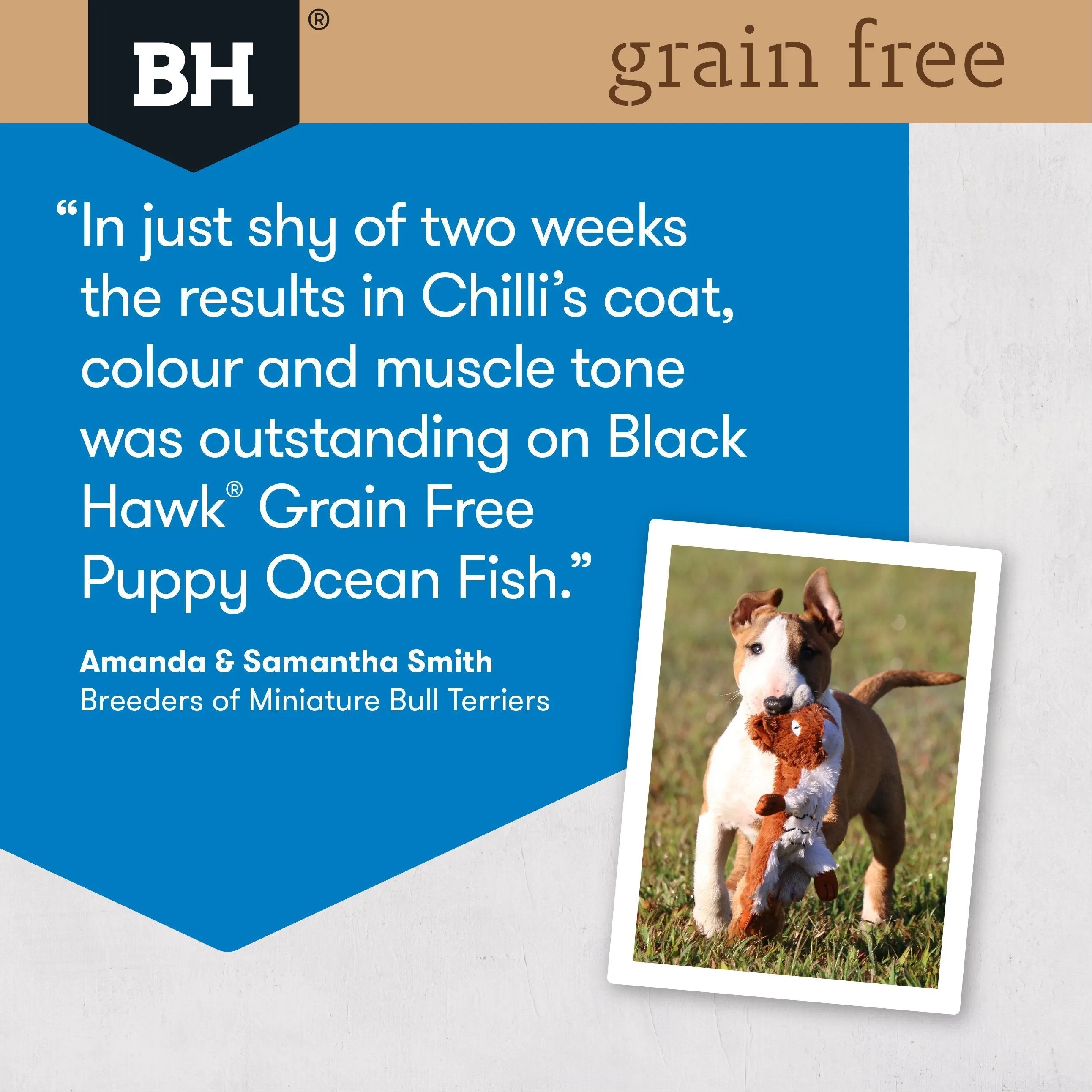Black Hawk Grain Free Ocean Fish Puppy Dry Dog Food 15kg^^^