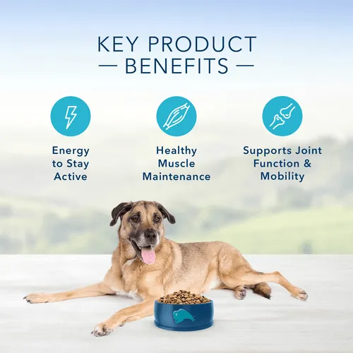 BLUE Life Protection Formula Chicken & Brown Rice Recipe Dry Senior Dog Food
