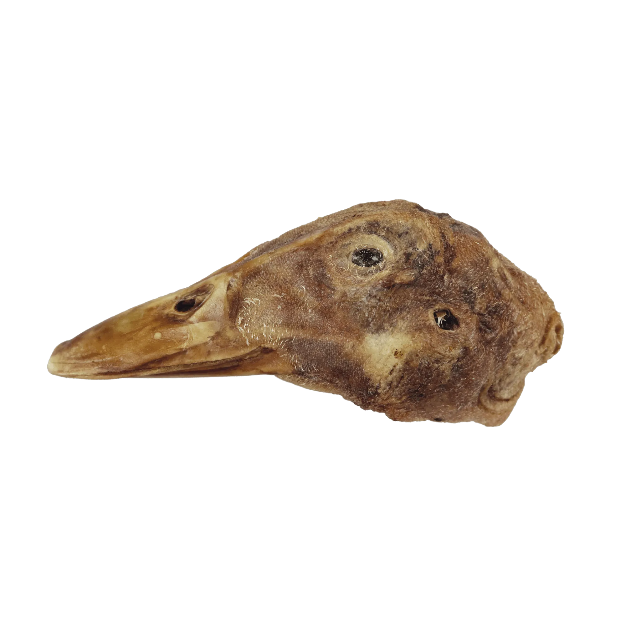 Bones & Co Freeze Dried Duck Head