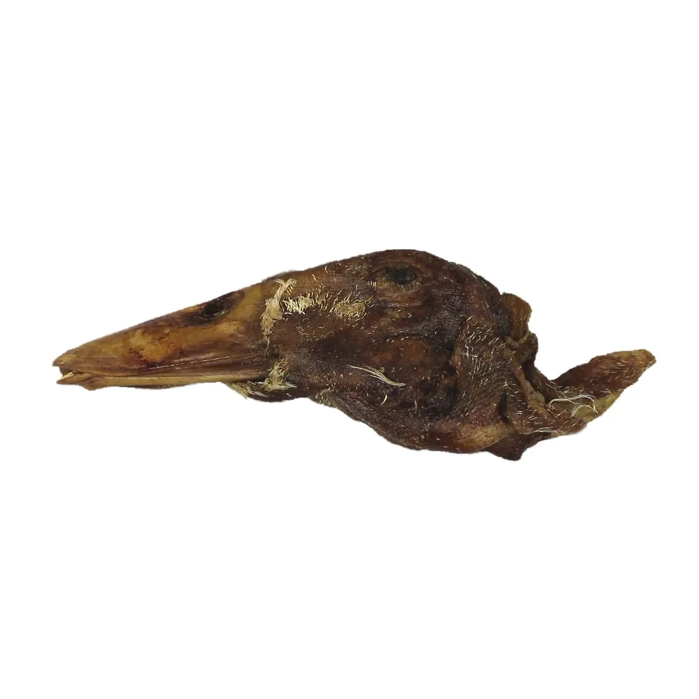 Bones & Co Freeze Dried Duck Head