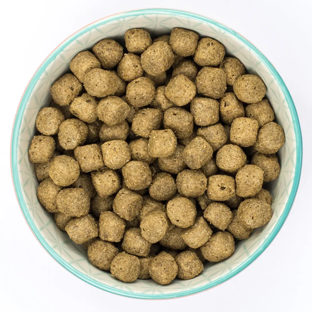 Burns Adult & Senior Original Fish & Rice Dog Food