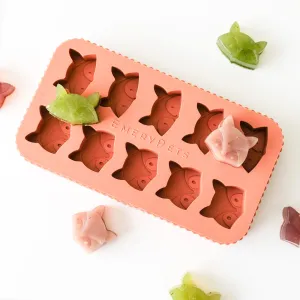 Fox   Raccoon Treat Mold