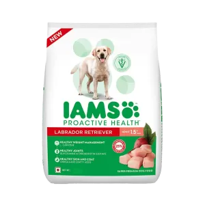 IAMS ADULT LABRADOR DRY FOOD (M)