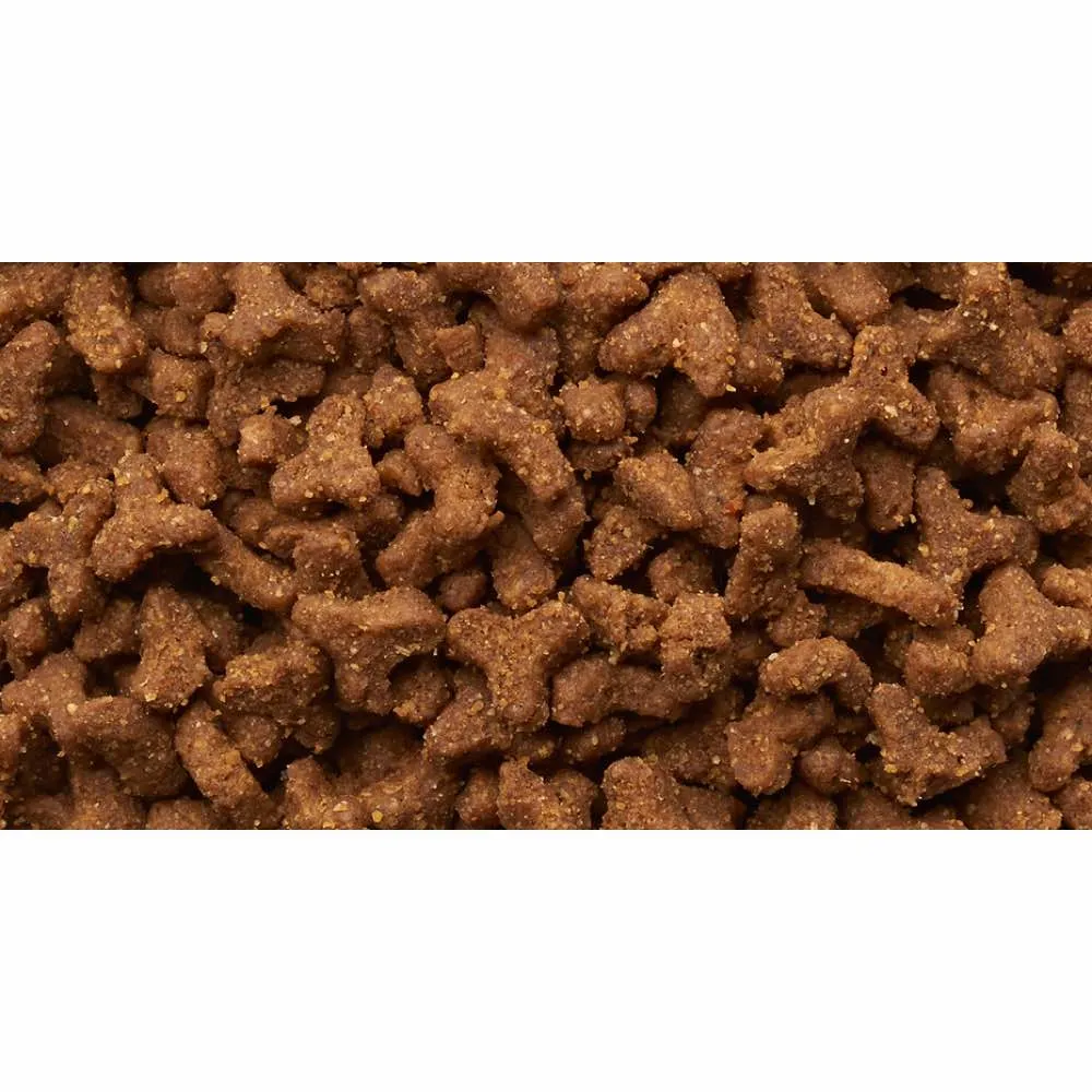 Iams Kitten And Junior Succulent Roast Chicken Dry Cat Food