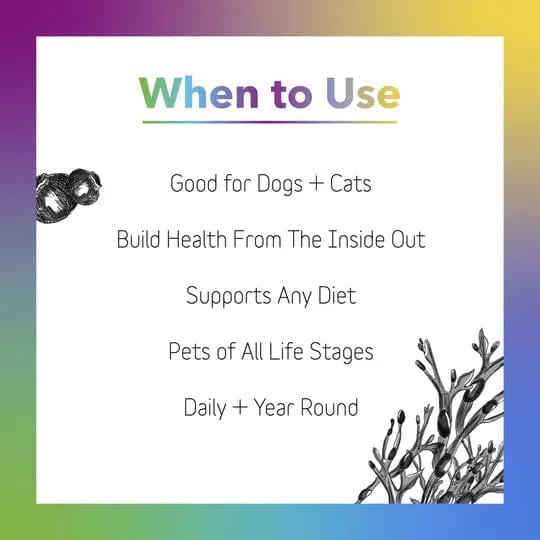 InClover Daily Multi Multivitamin Supplement for Dogs & Cats