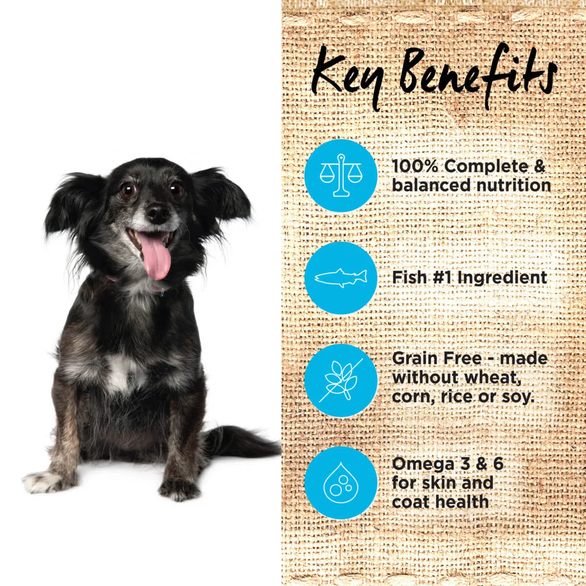Ivory Coat Grain Free Ocean Fish Frozen Dog Food 8x227g