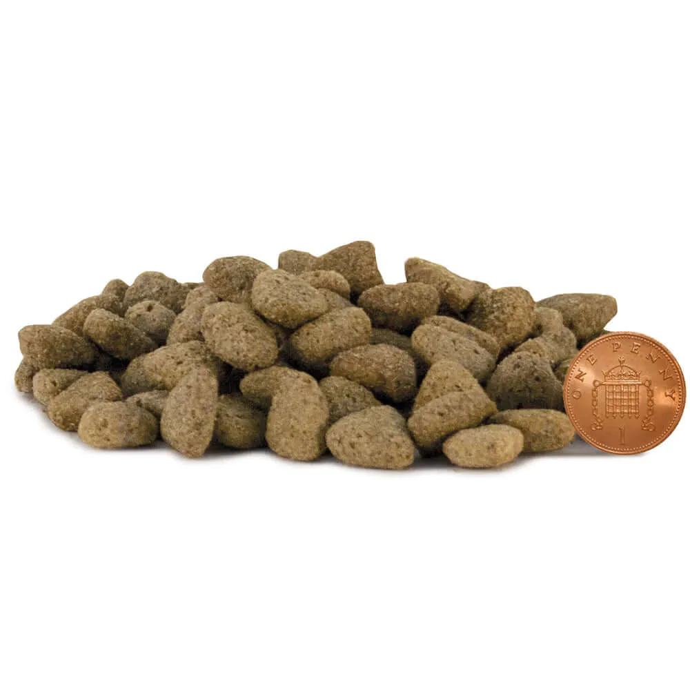 Lovejoys Salmon Pure & Simple Grain Free Complete Adult Dog Food