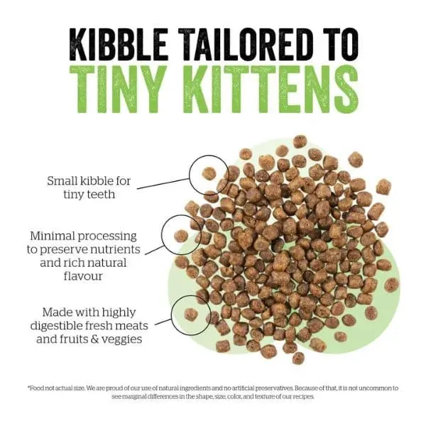 Now Fresh Turkey, Salmon & Duck Recipe Dry Kitten Food, 8lb
