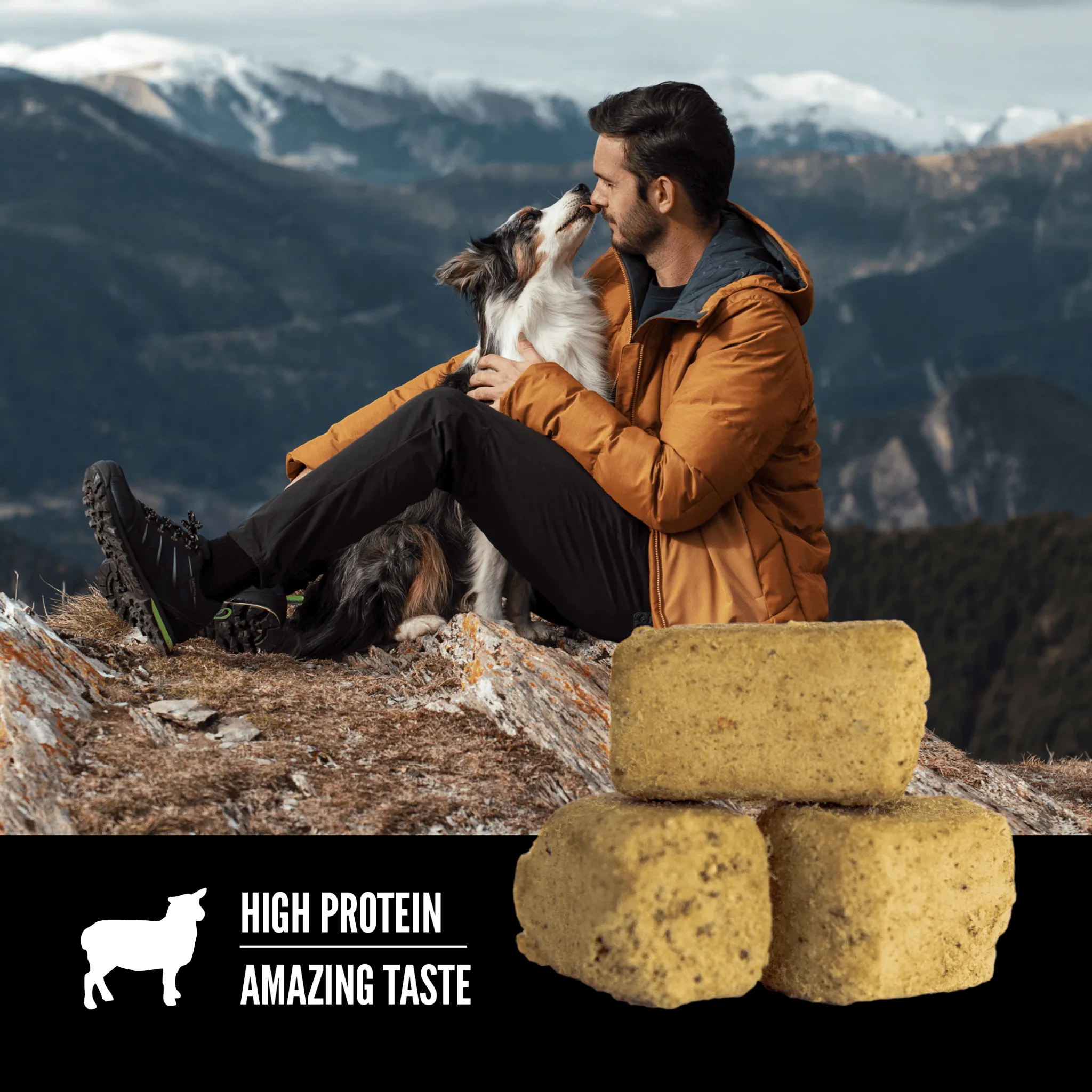 Orijen Freeze-Dried Dog Treats Grass-Fed Lamb Formula