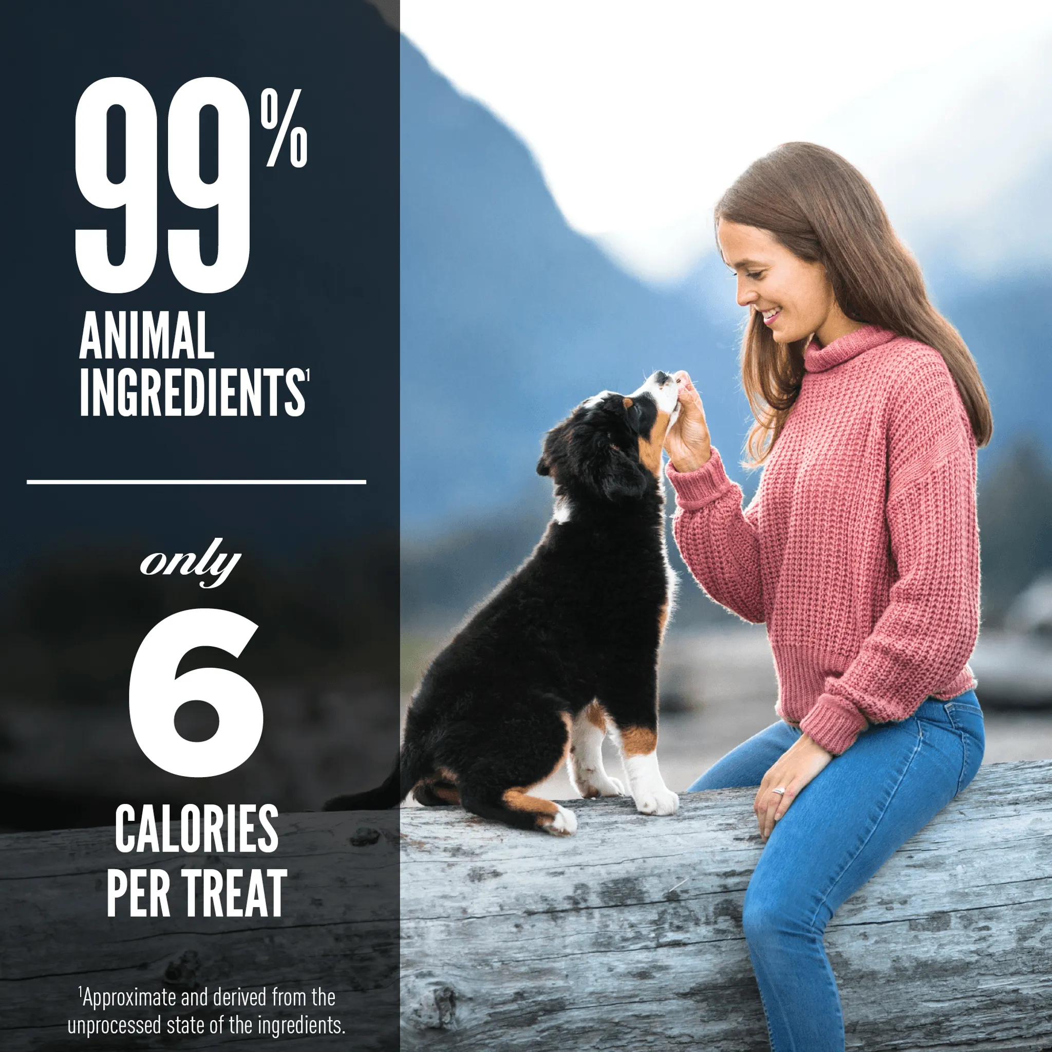Orijen Freeze-Dried Dog Treats Grass-Fed Lamb Formula