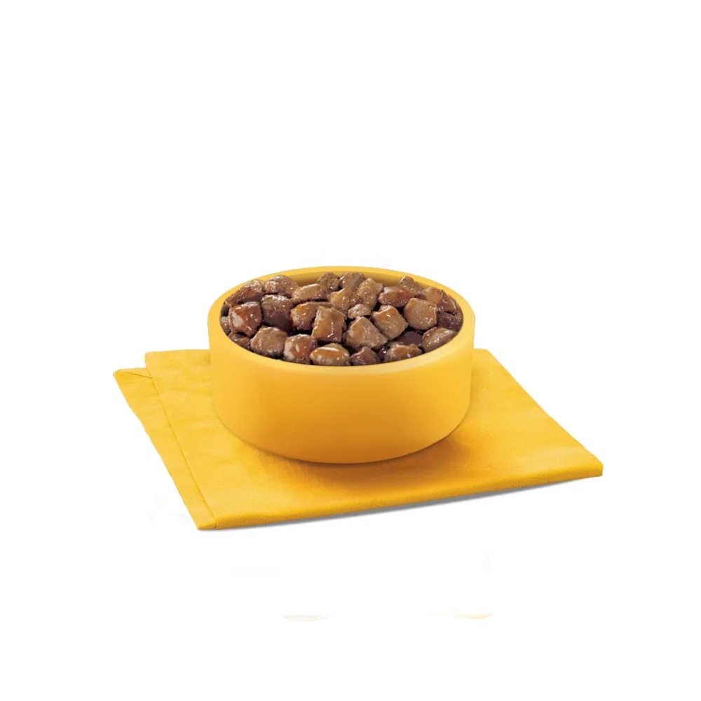 Pedigree Wet Dog Food Pouches (Adult) - Farmer's Selection In Gravy 12x100g