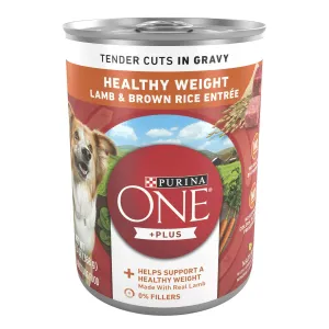 Purina ONE  Plus Lamb & Brown Rice Gravy Wet Dog Food 13 oz Can