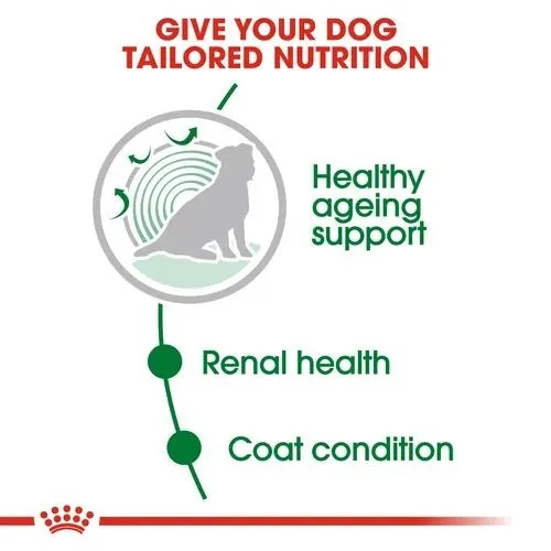 Royal Canin Wet Dog Food Mini Ageing Pouch Gravy 12 x 85g