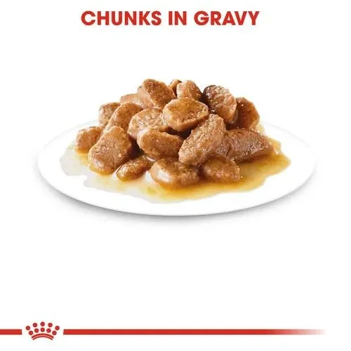 Royal Canin Wet Dog Food Mini Ageing Pouch Gravy 12 x 85g