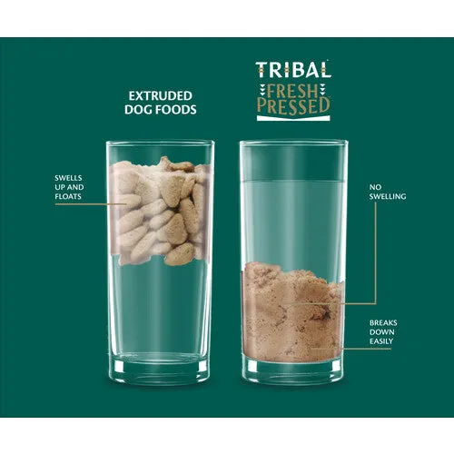 Tribal TLC Grain Free Cold Pressed Turkey Light Senior Dog Food 2.5kg