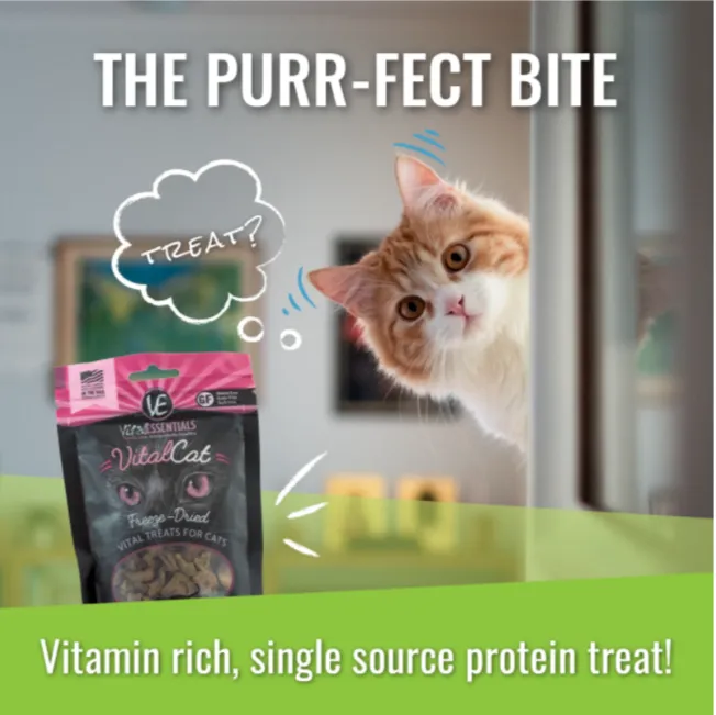 Vital Essentials - Vital Cat - Freeze Dried Chicken Giblets
