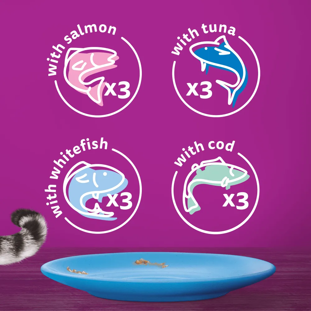 Whiskas 1  Years Cat Pouches Fish Selection in Jelly 12 x 100g