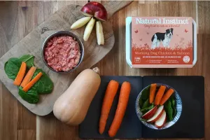 Working Dog Chicken & Salmon